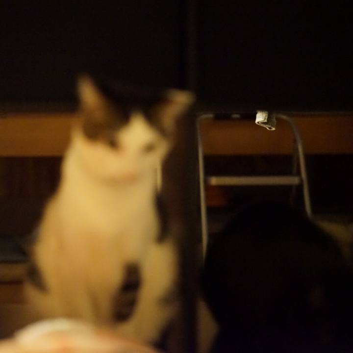 E319163b 0023 43ca a849 6c51c5e03028 1550791629303