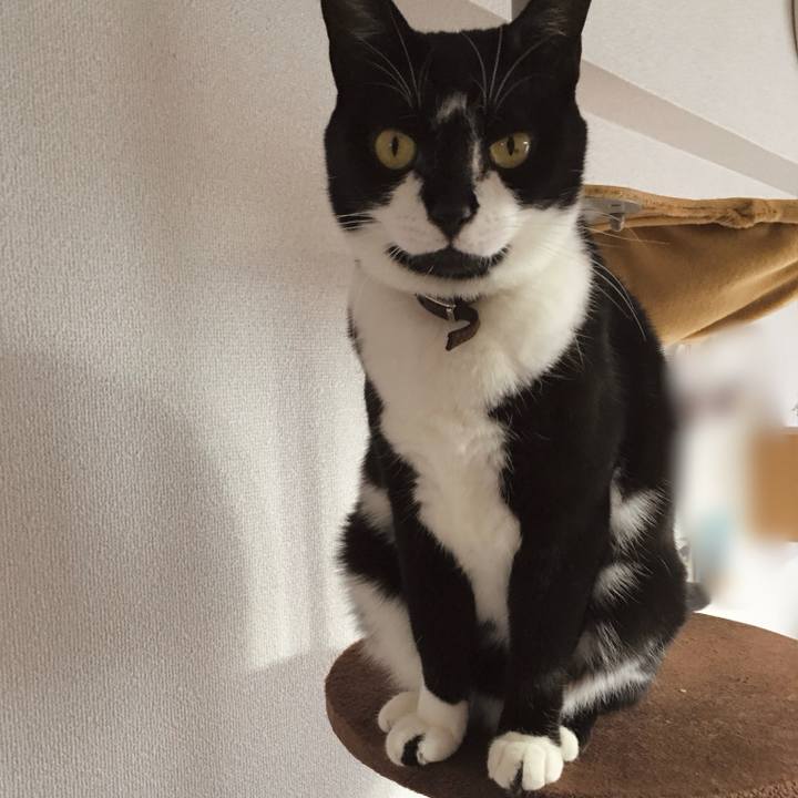 E319459c ce61 41b1 b9ce 8d9cd698d4c5 1770877222715