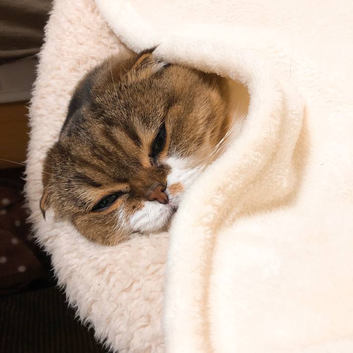 E319515c 86e5 4538 a137 74557d658015 1545586913021