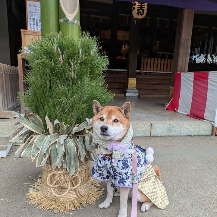 E319a182 8ae3 493d b989 c3a6de738cee 1736162901114