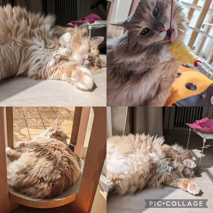 E319b398 e8e8 422f 94db dd73df9b903e 1708435589538