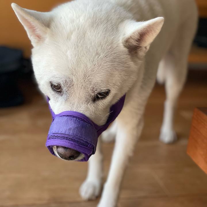 E319ce70 be06 49b3 a371 bb9918b735d1 1675581773660