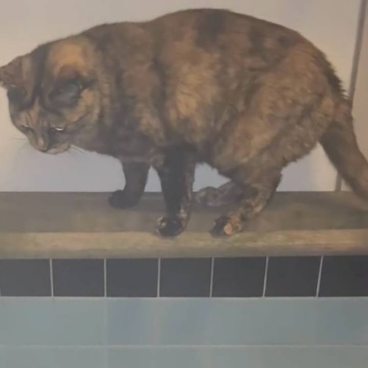 E319d20c 31f7 4486 a15a 0b14a74b4758 1774988478326