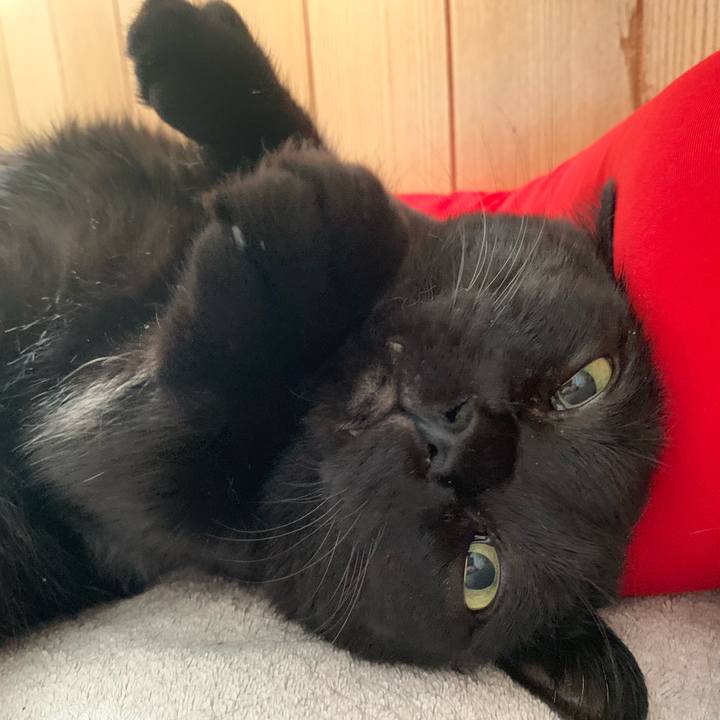 E319dc12 8e6d 4e93 9309 71a2b043713e 1561502875433