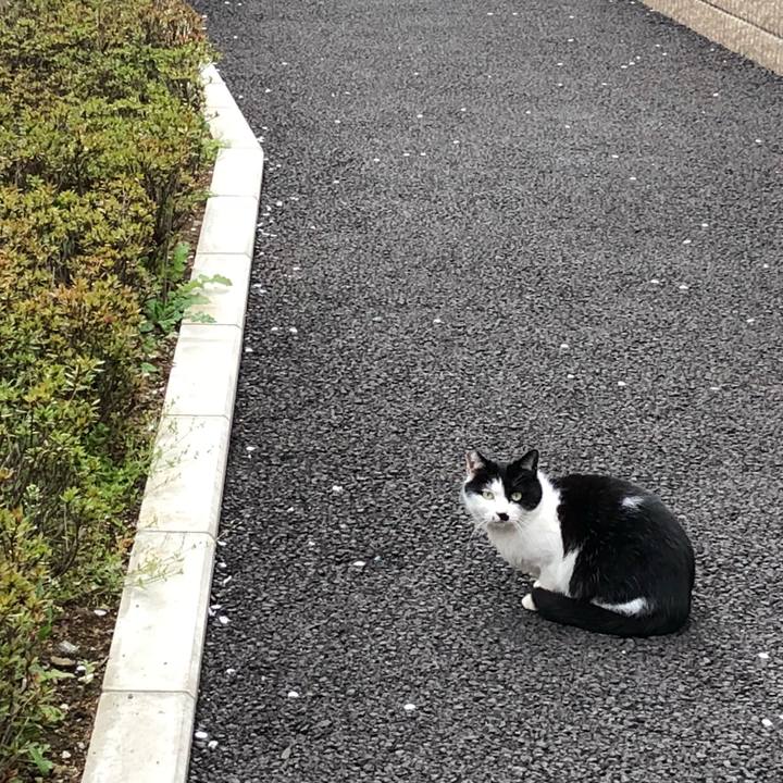 E31a3d8d 8442 4f2f 9726 5c2e3f71d095 1522170330265