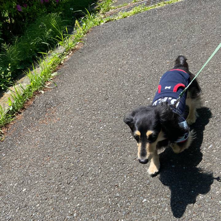 E31a4498 c783 4bf4 a013 0830bee395dd 1746682699581