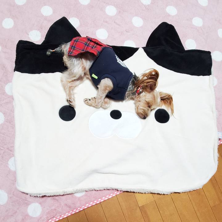 E31a5ad9 2948 4c6f bb31 5eabc18f1779 1581341452284