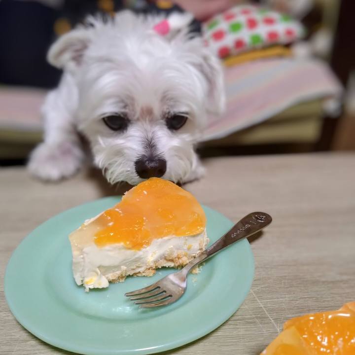 E31a6045 6a84 4a80 a183 9ea646e2ae25 1750856976316