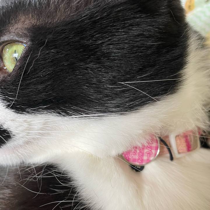 E31a854e e9fa 4428 8de1 e88dfa81079d 1650679292640