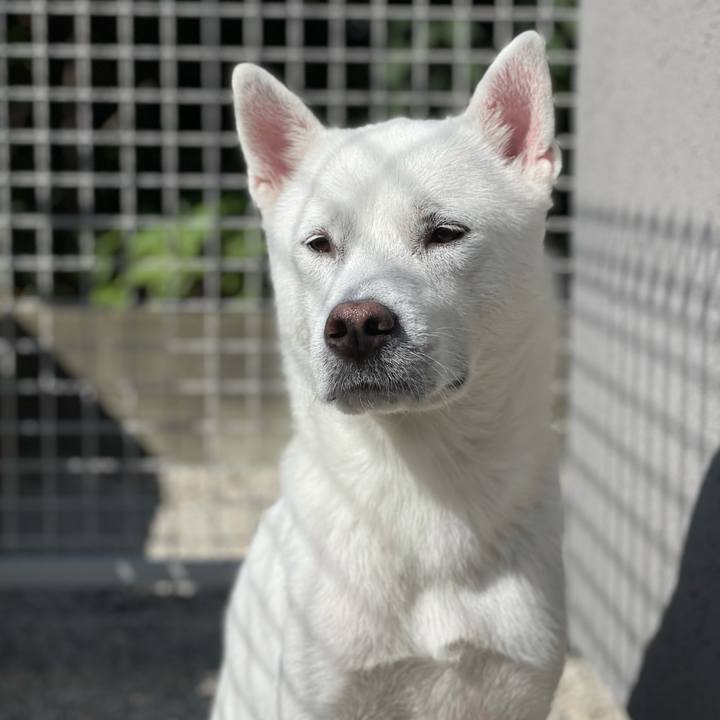 E31a8f9e 69e3 4f1d 88d3 3d5b3c91fa00 1634964924452