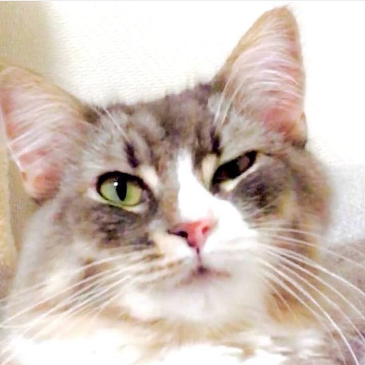 E31a9c84 836b 411c abe5 041769b82a7a 1753628839037