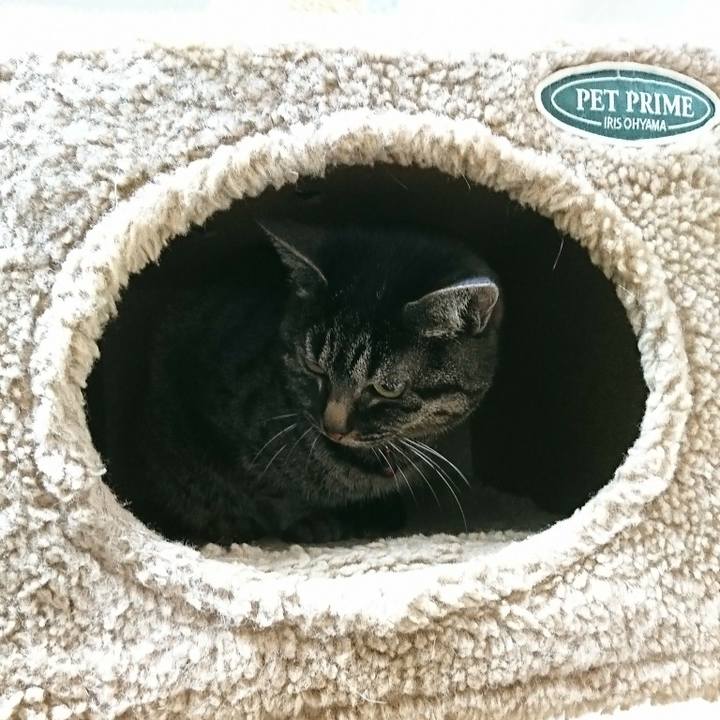 E31ab64f b73e 4f99 b475 44cf34e2ea7c 1550804630946