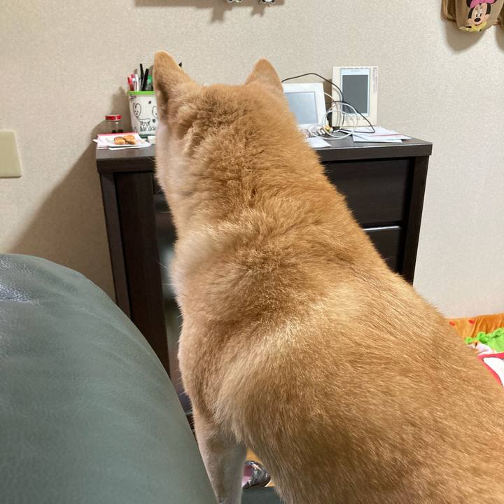 E31ac681 250d 4394 a31a 23e33161a3fc 1615033980652