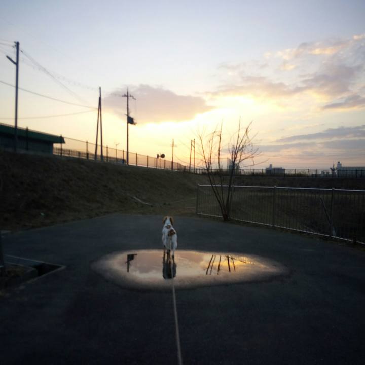 E31af7d3 ea67 46e8 a3fb 19c9b62442fc 1519647101363