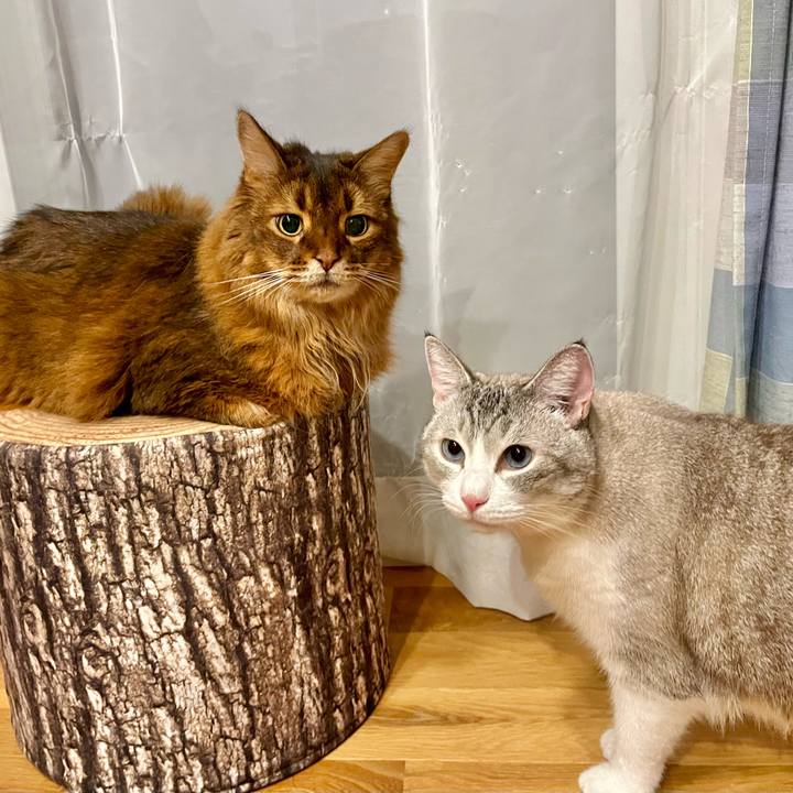 E31b7319 61b2 4fcc b690 f636f713a0aa 1723823418198