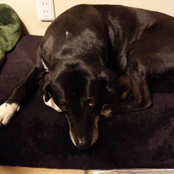 E31b86f7 2474 458e b3dc 4de3a9543cb6 1740913017698