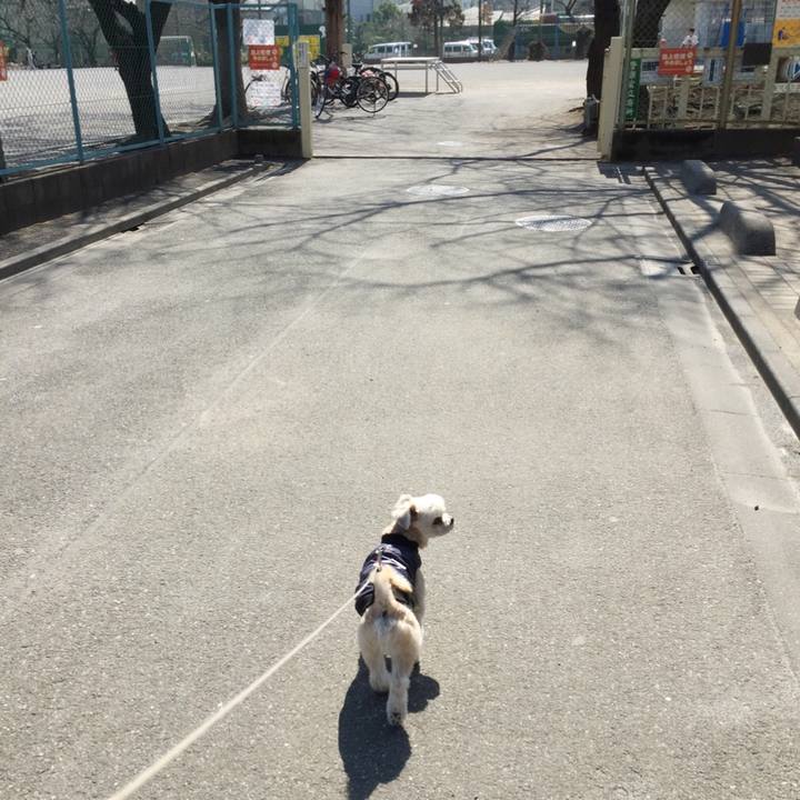 E31b9a74 d684 47de 8a37 e36266b71009 1552114312280