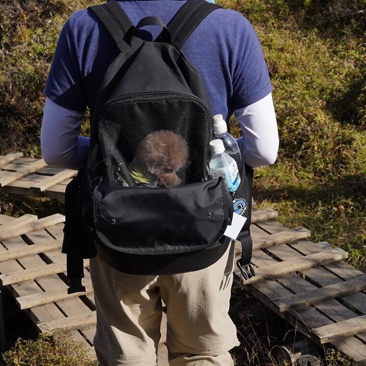 E31bb618 d528 4ccb 9d54 e34125a7398f 1699530265664