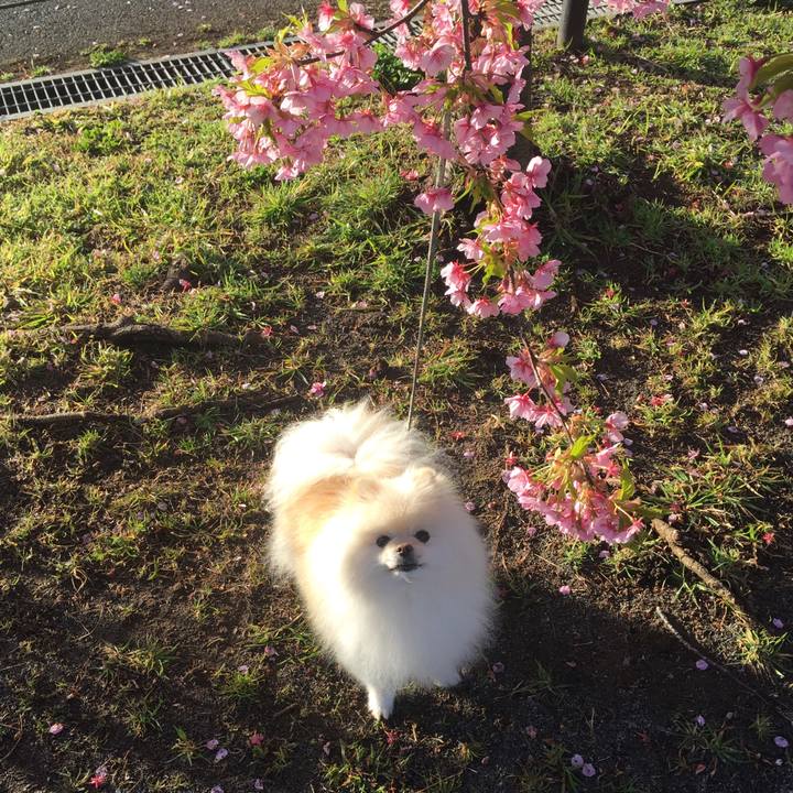 E31bebab 94be 4145 a940 6742f02ad8c1 1583193169129