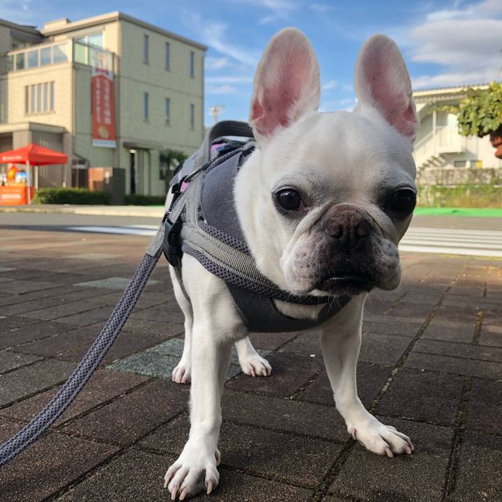 E31c20b8 4187 4996 b890 6500523a6fee 1667111606039