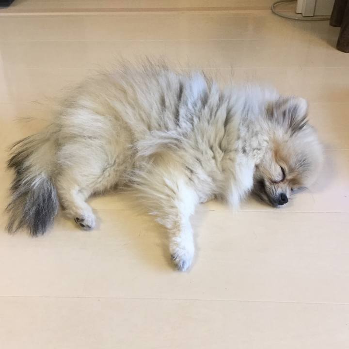 E31c32f1 5bb3 4321 a779 c530e901c4ea 1550189809058