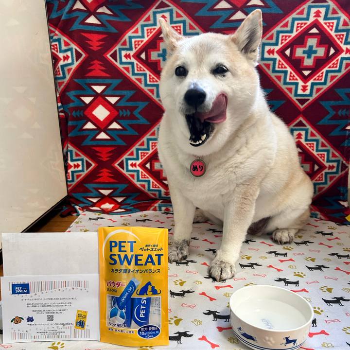 E31c50e5 dd13 4346 aada 8d64f658328b 1739597469915