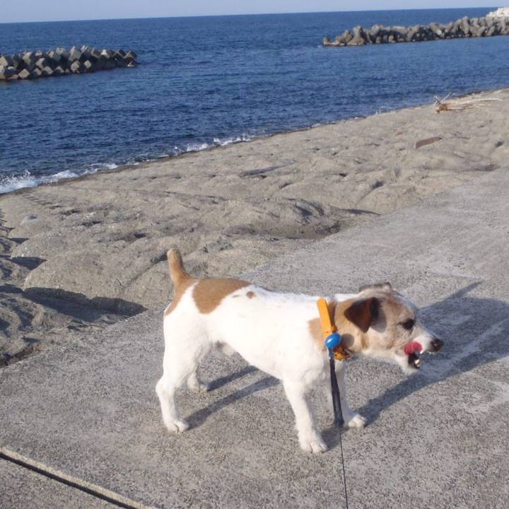 E31c7e13 97e1 4265 ae8a ce6717abe1bc 1523778898299