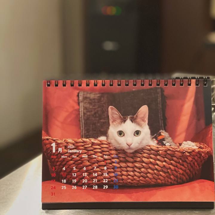 E31c8166 d4d3 4567 ac99 4fef7ebbdab6 1610009730235