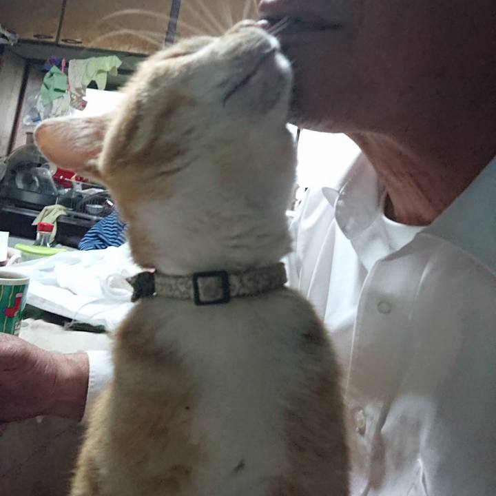 E31c8644 0711 4e4a a7de 501f4d68ad1b 1589878945537