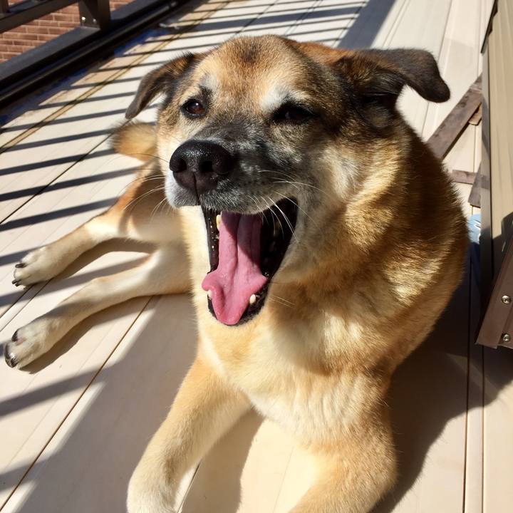 E31c9cb8 a138 41b5 ba66 2712e2e229f9 1567990603615