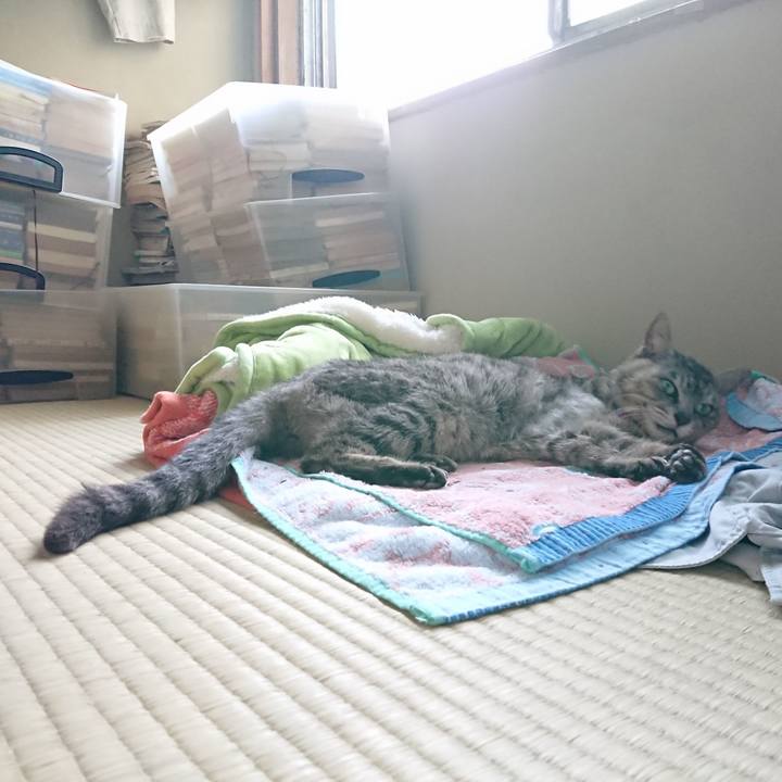 E31ca293 42dc 464c b5b4 f6c7d447b154 1596518988582