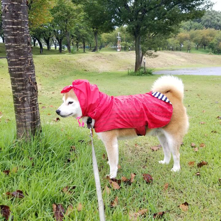 E31cbf93 a2b1 437b b4c6 25ed4668aff2 1631081583347