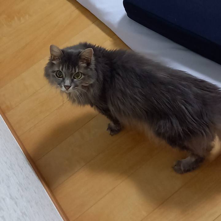 E31ceade 950d 4e0b 9513 cb7927ceda01 1695079556377