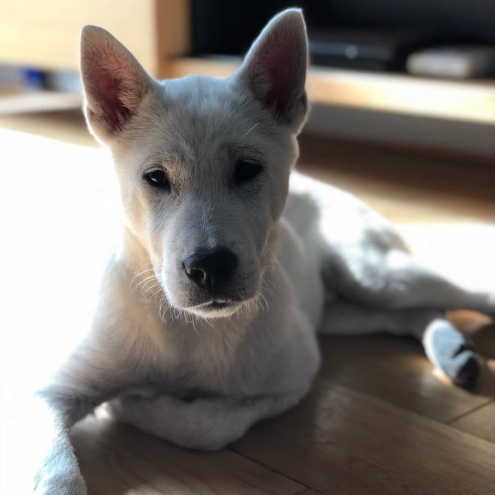 E31cf48b 7a12 44b3 9bcd aa9abfbd0282 1516330291114