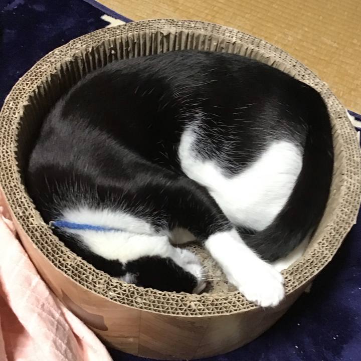 E31cf8b2 a327 48e4 9801 99609758bc52 1705052569644