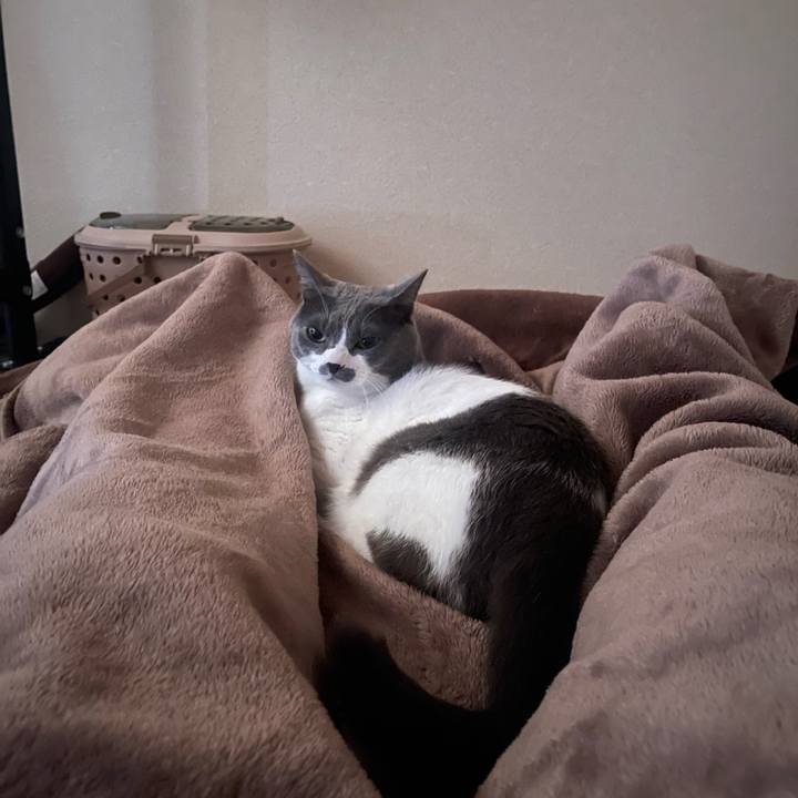 E31d028a 3fbc 4e3d a0cf 6b1c529b8b4b 1697925821705