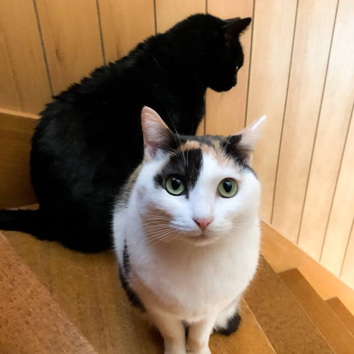 E31d193d 37fe 47a2 b073 14103f11643d 1586911902273