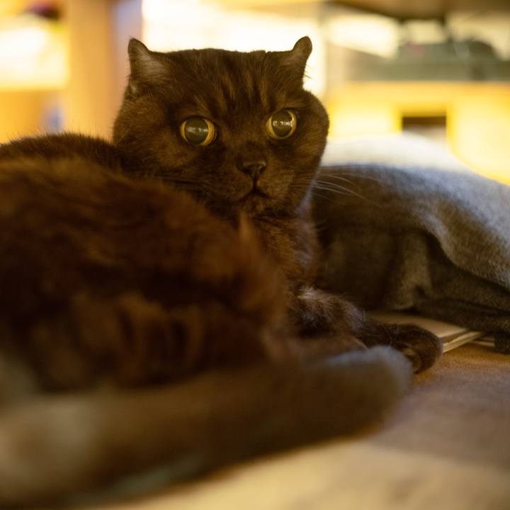 E31d2af2 5c61 4cad 8f44 522572147936 1620829357143