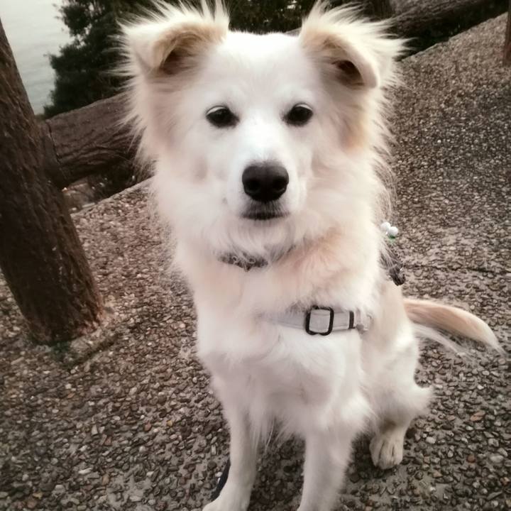 E31d3116 8393 4c98 bdeb 4c89597fb99e 1513674247030