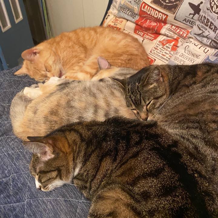 E31d3f5a d9c5 493e 961c a1b3c78e951a 1585418251433