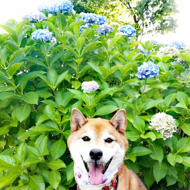 E31d3fa9 45d7 48b0 9015 6162a09dcec5 1689064633334