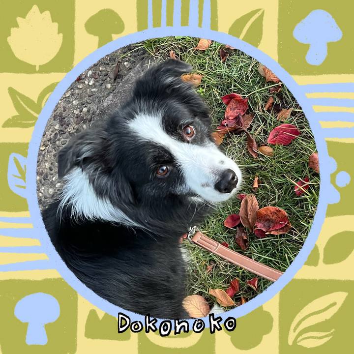 E31d43c5 f3f0 4032 8e5c 19ef25f474c9 1762159762569