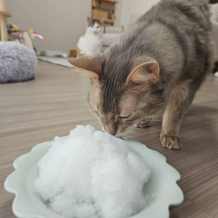 E31d6ac3 077b 4807 9e4c da3728837320 1770510235984