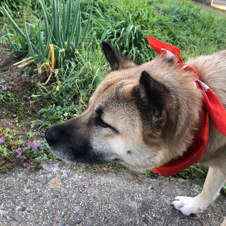 E31d6e1c c36b 4c75 8ad1 72635d435a53 1583752901348