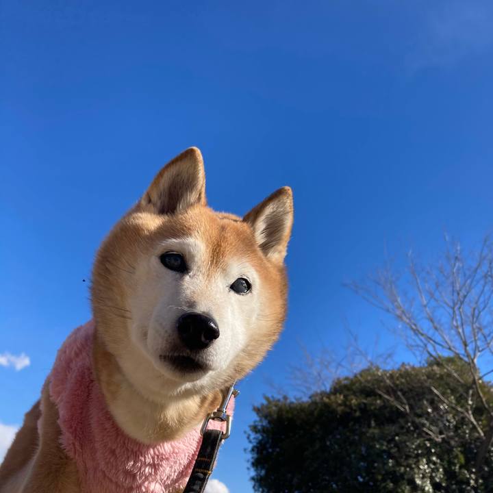 E31d7b5d 5548 4062 8f23 6185b8aa23a0 1769055842043