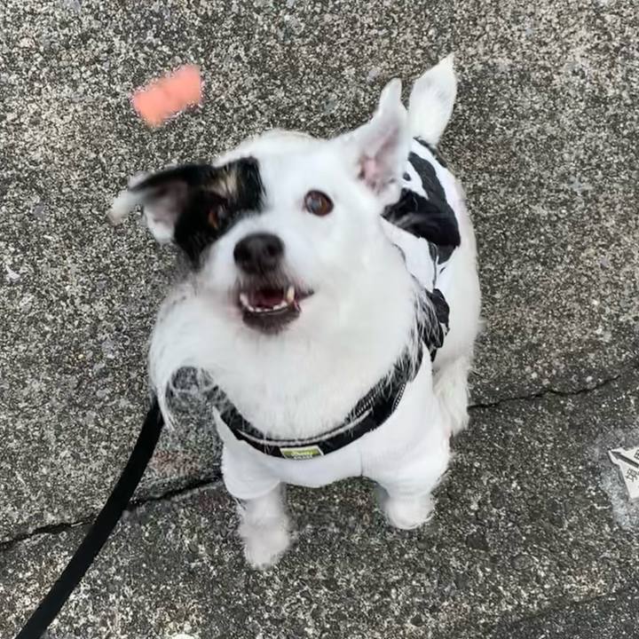 E31dac5c 870e 4f36 838f 0391a4bbcead 1705969539323