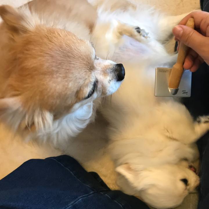 E31dc98d 57b9 4d0d 8f34 3c9358ef4be8 1515463277234