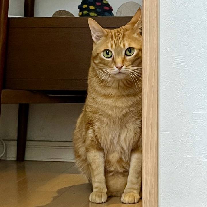 E31e083f 2ab4 4d2a a741 dbad36fffdc7 1715771955555