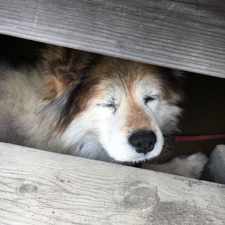 E31e09b2 c5b8 405f 87d1 67ab18b5267d 1582444677169