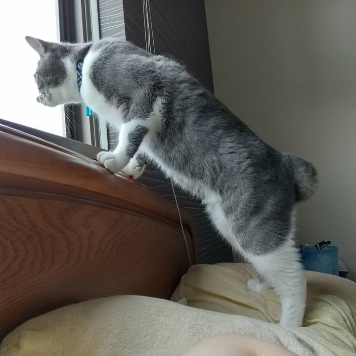 E31e15be 9c74 4d6c 8e95 6dd7aaddd13a 1600387751921